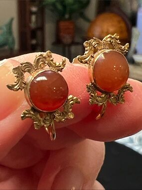 Antique Ornate Etched Carnelian Agate 12k Gold Filled Screwback Earrings